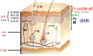 どのくらい持続するの・・・